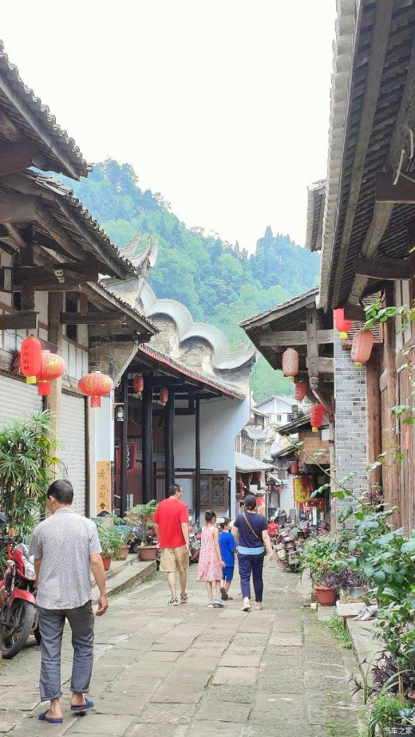 解救金刚鹦鹉